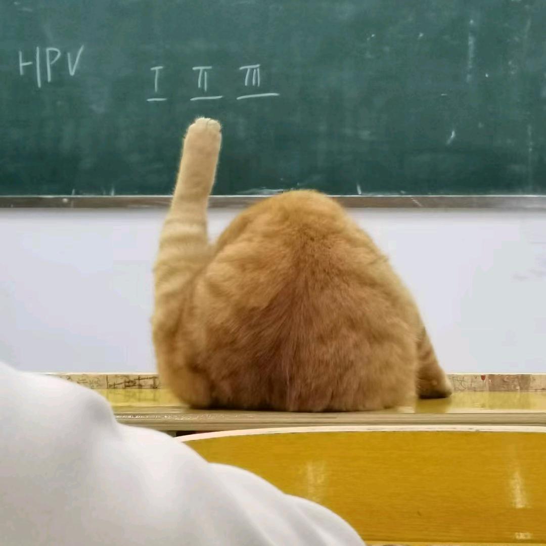 看到我要提醒我去学外科
