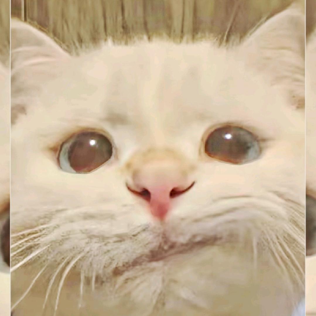奔跑的萝卜