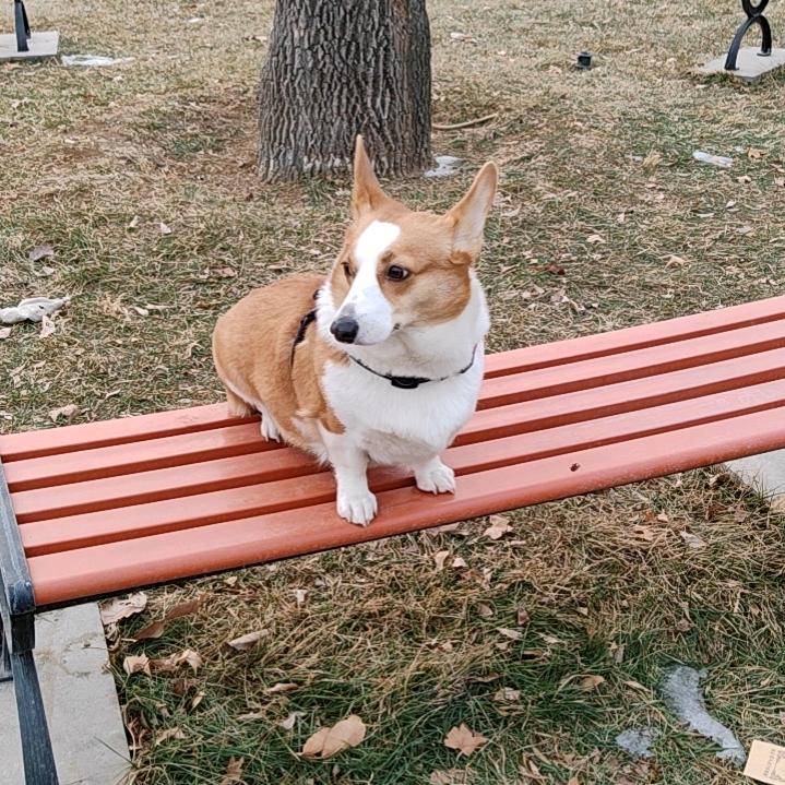 青春永驻
