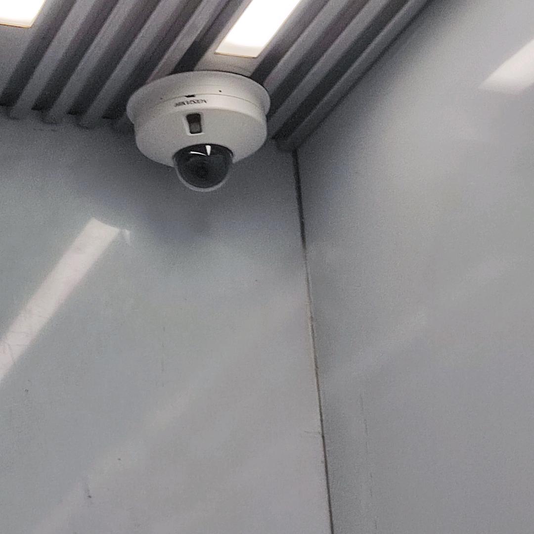抖粉