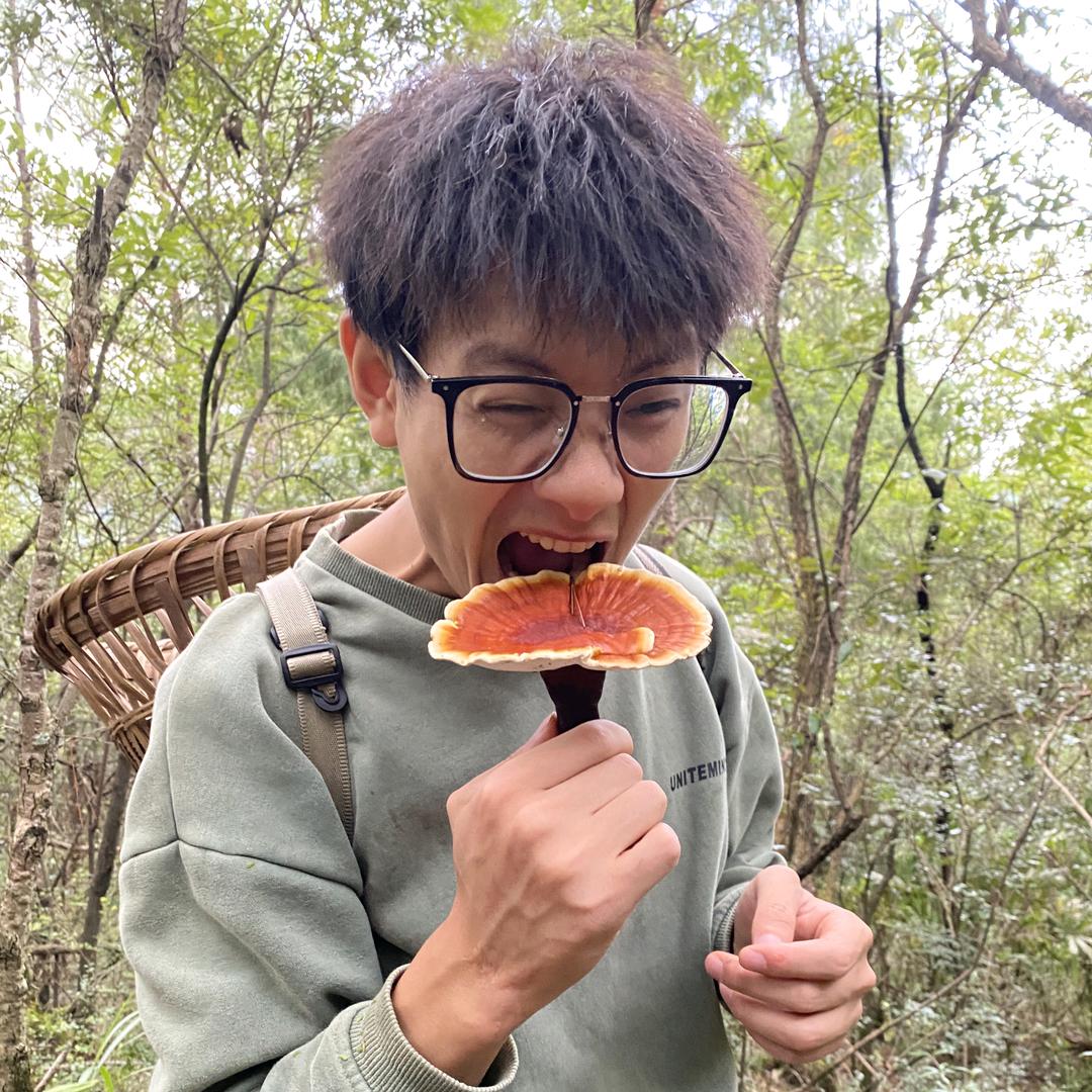 王傲天的多元宇宙