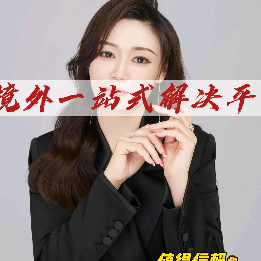 彦老师一带一路援建咨询