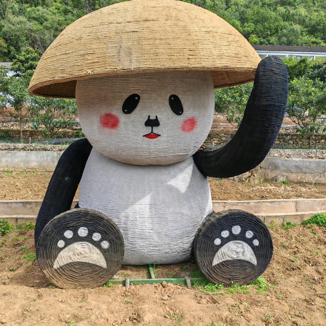 贵州亿亩地中药材种苗基地