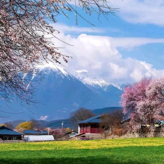 岁月无声，