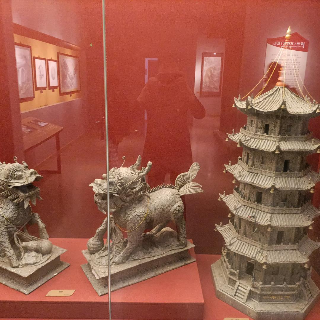 绽放美丽的明天