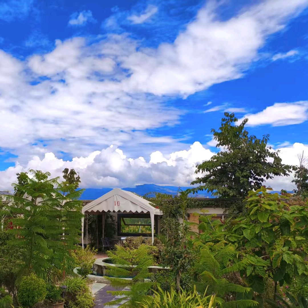 ღ᭄小柠檬🦋꧔ꦿ᭄💞