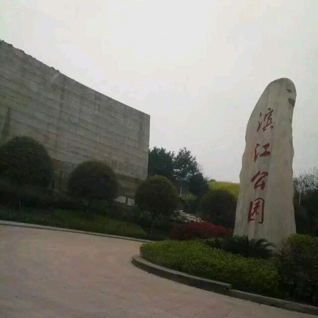 小龙