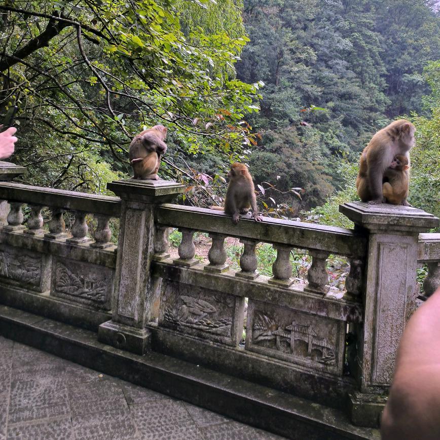 爱你一回