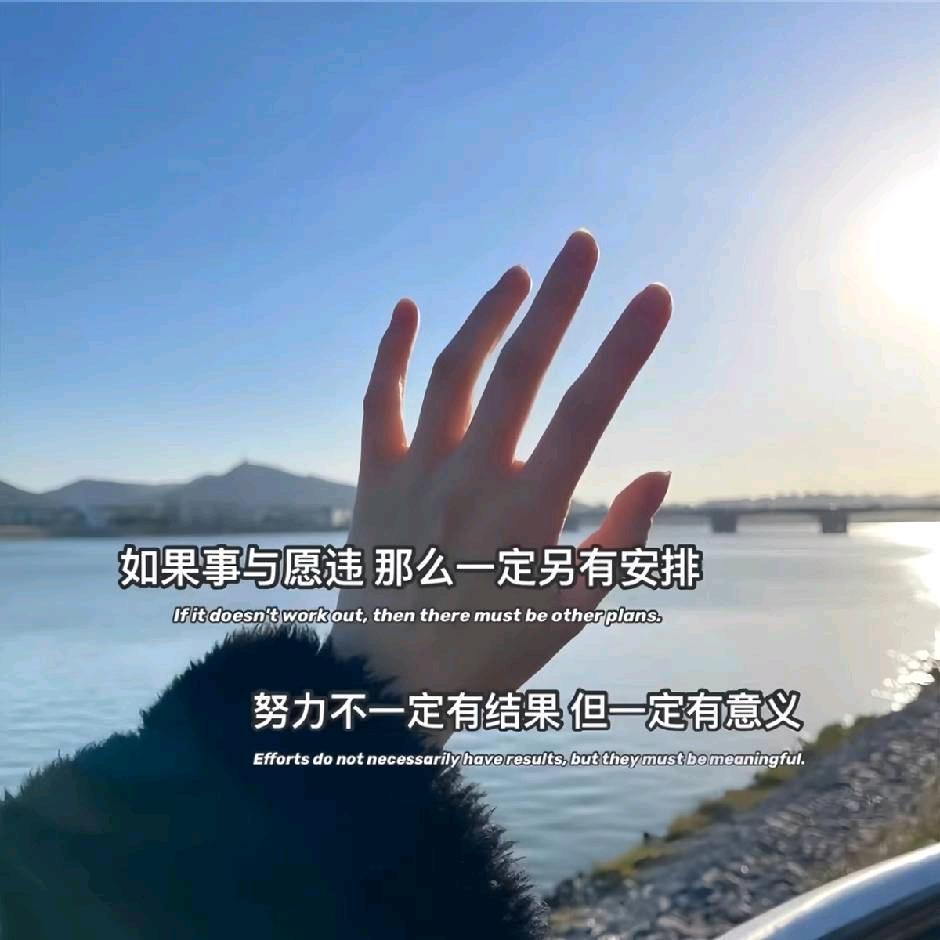 琥珀(^з^)