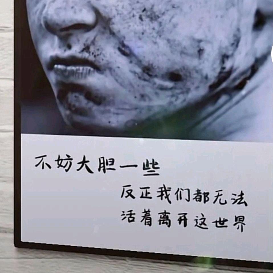 若再许我少年时