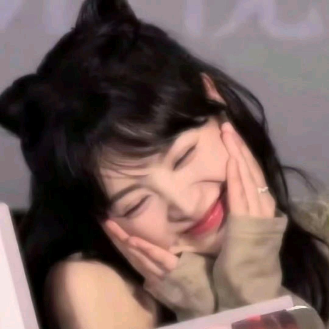 小鱼钓猫