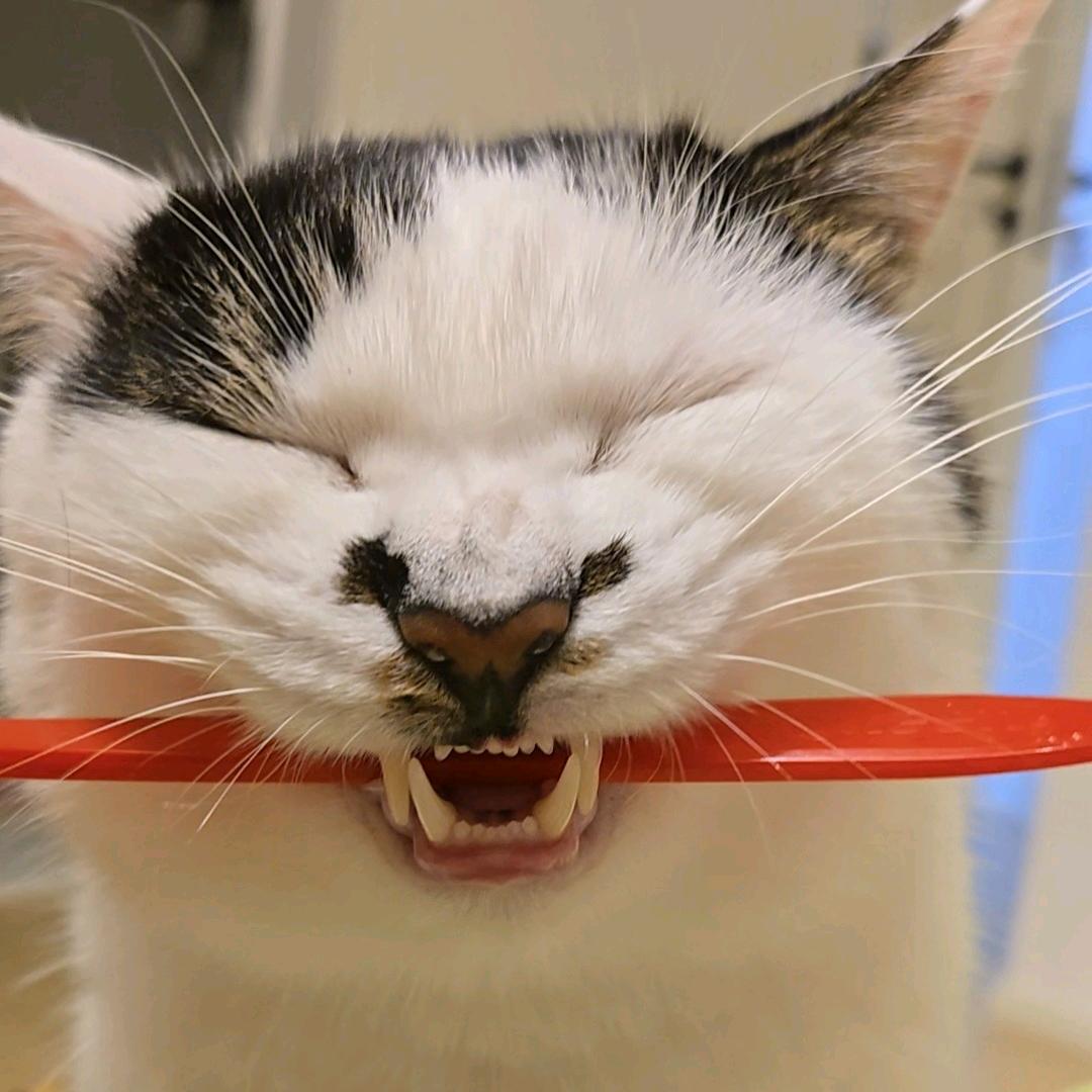 人生不过三万天