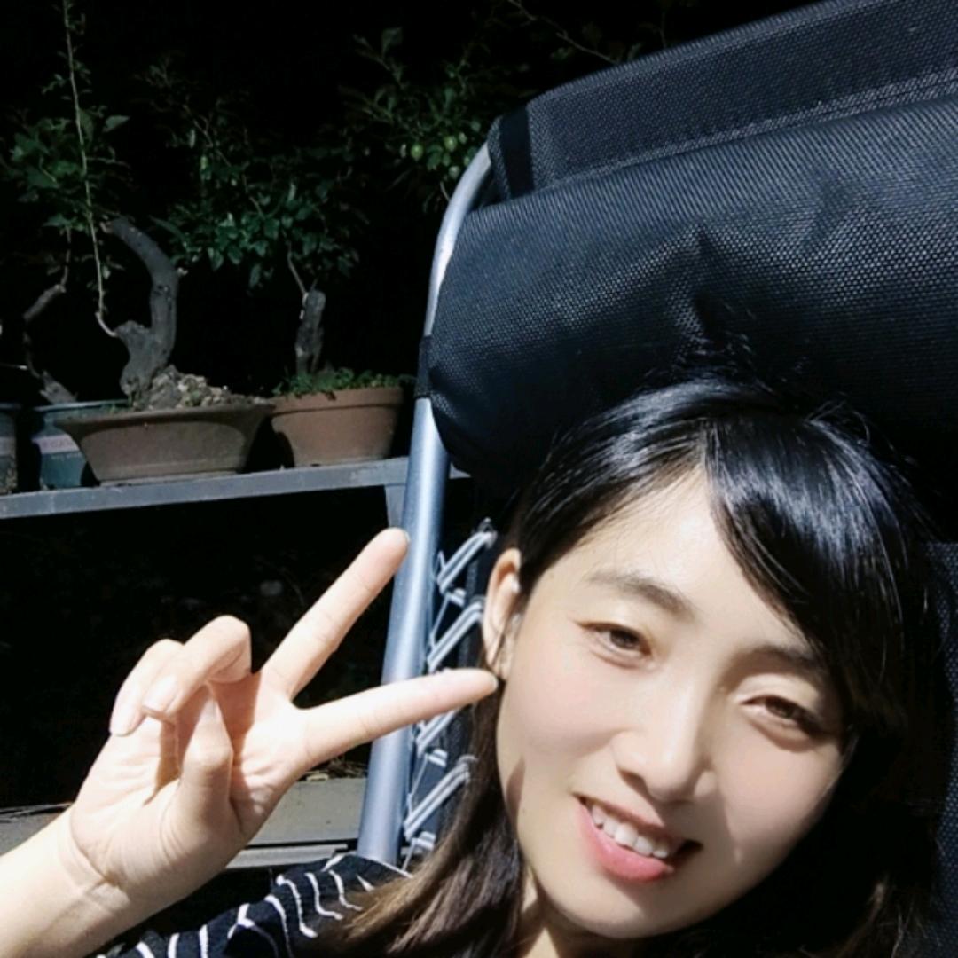 一只小飞燕