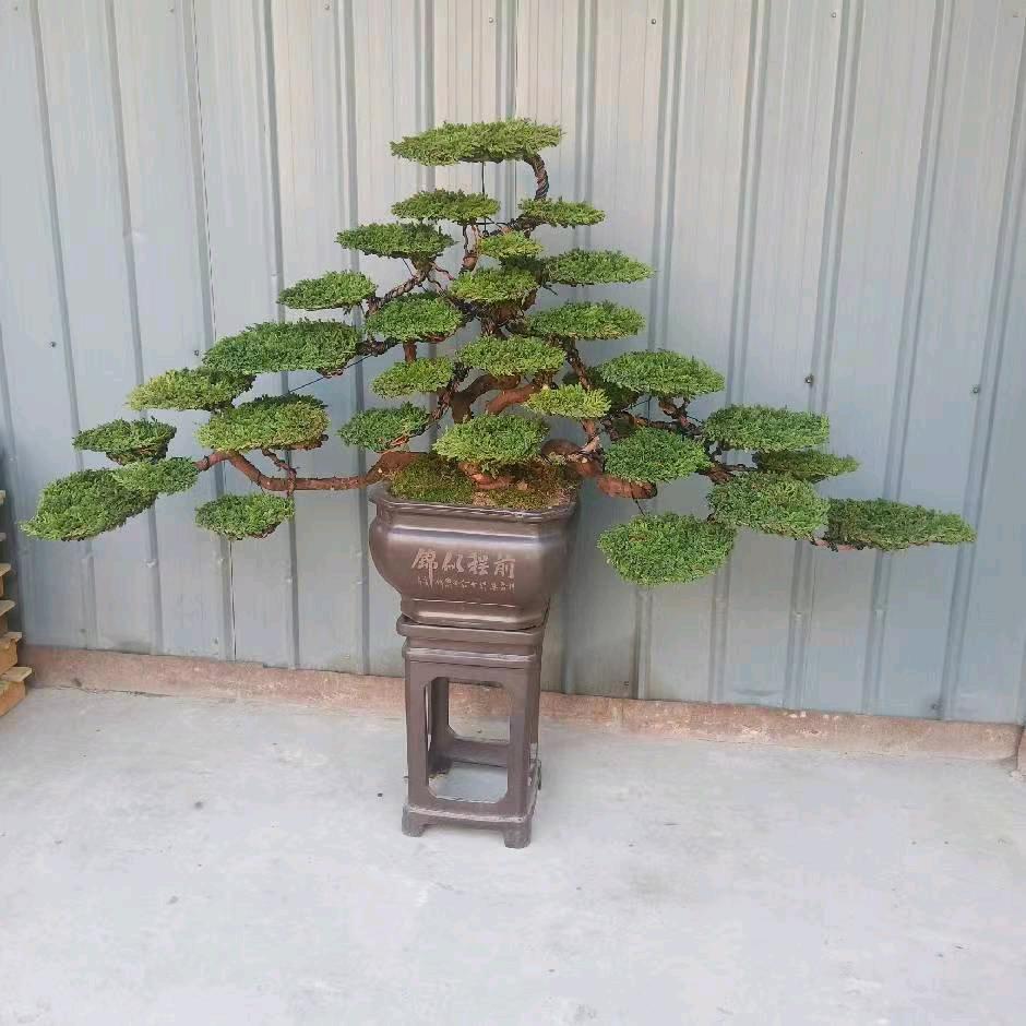 彭钓毕节大方单身