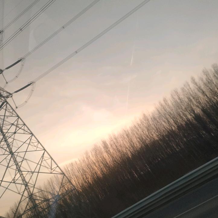 郑枫