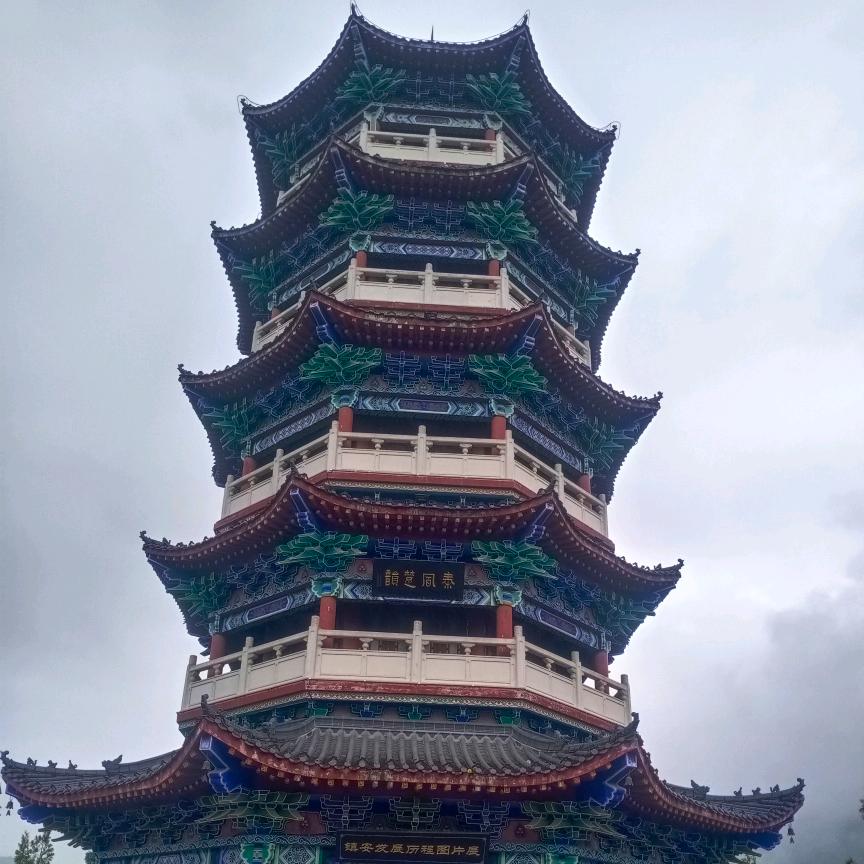 31064903626大哥我爱你