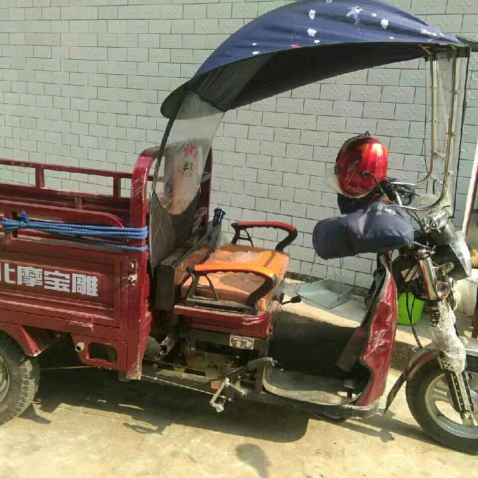 天林