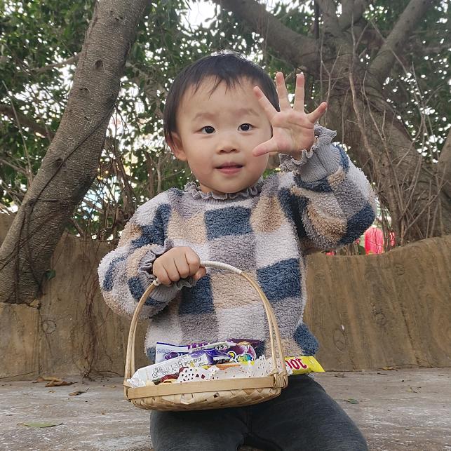 杨杨