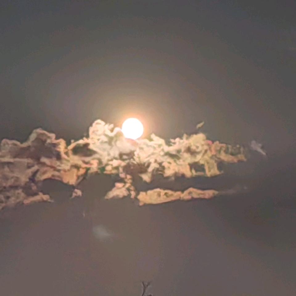 中个福袋吧🍎🍎