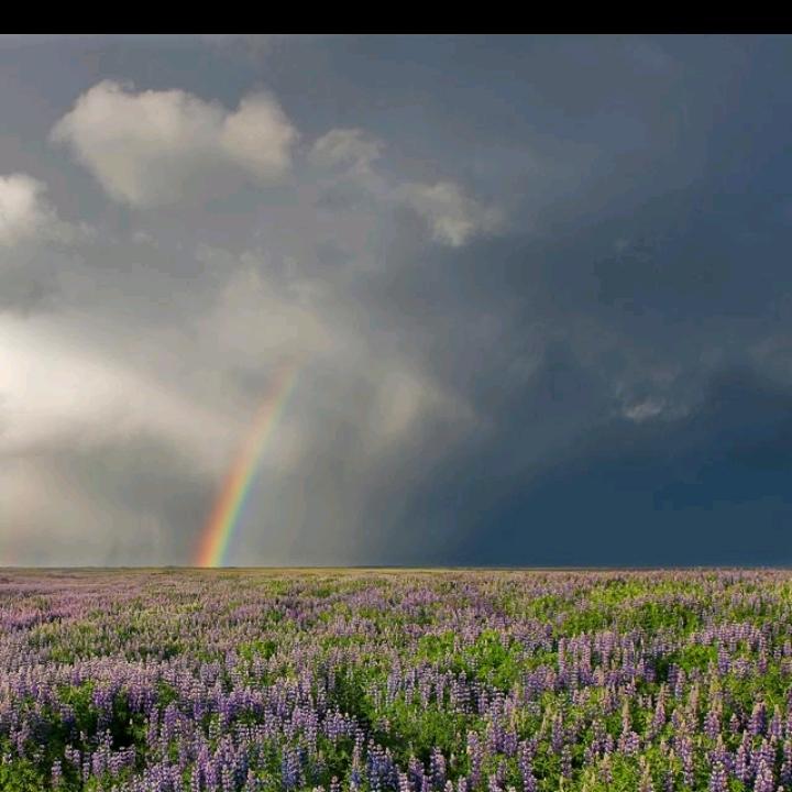 冬天太冷（四川仪陇人）