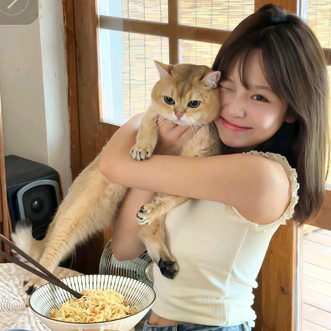 摆烂小鱼.
