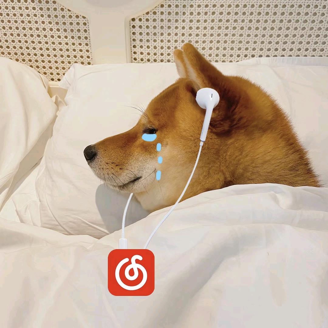 关于…