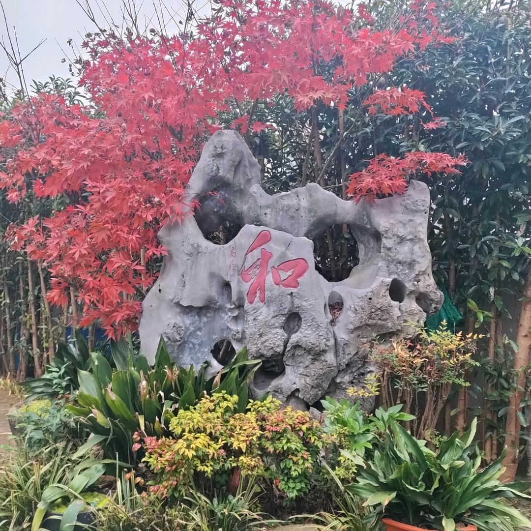 江湖老道