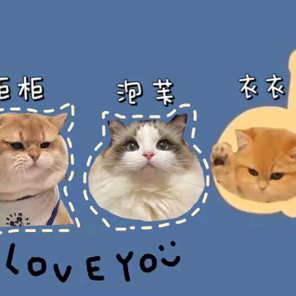 包嘉海