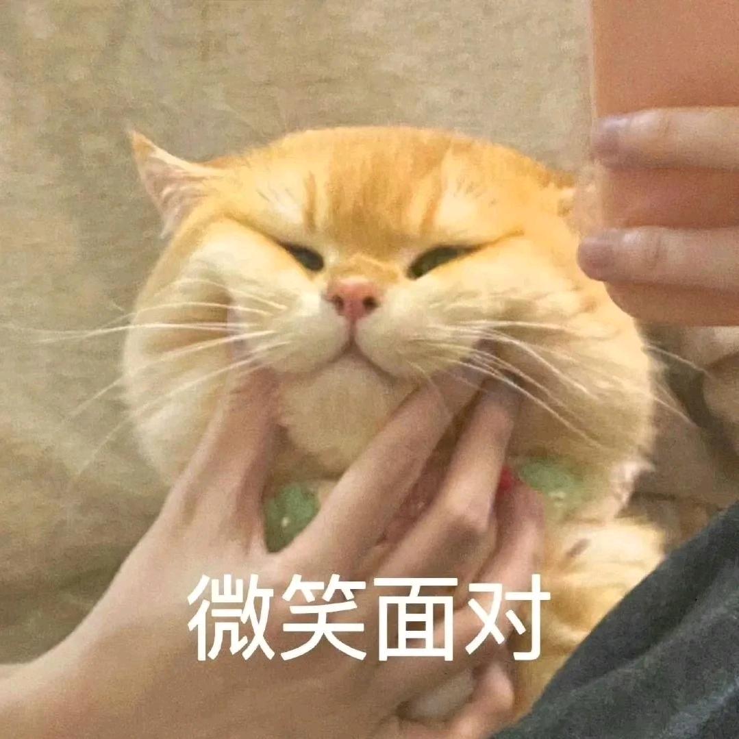 圆滚滚～