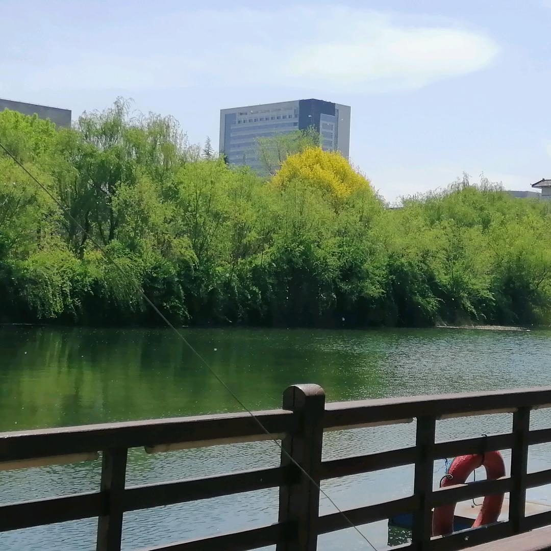 开心每一天😊⁹²⁷¹