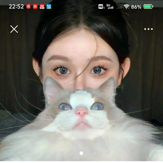 爱猫咪🐱