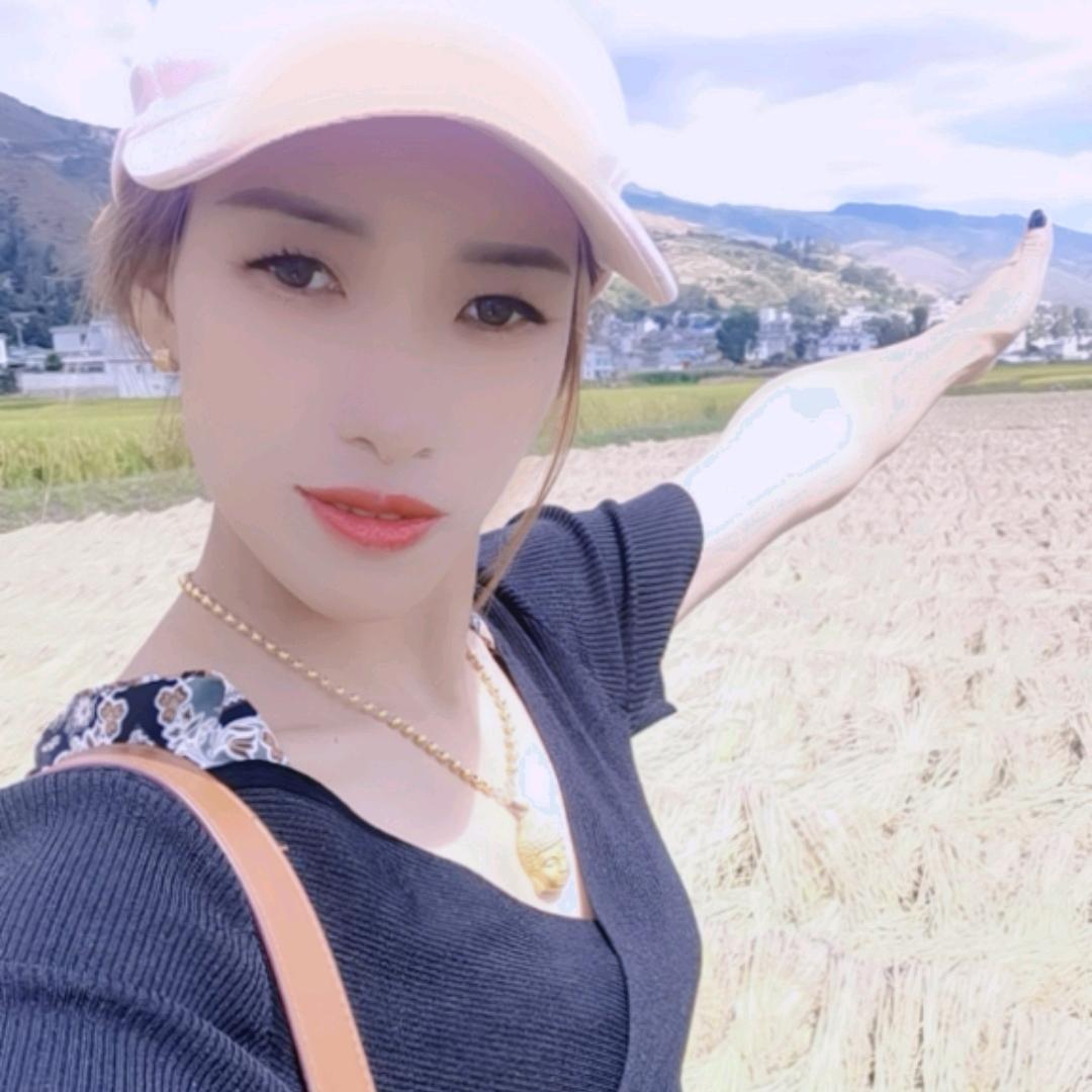 单身燕子