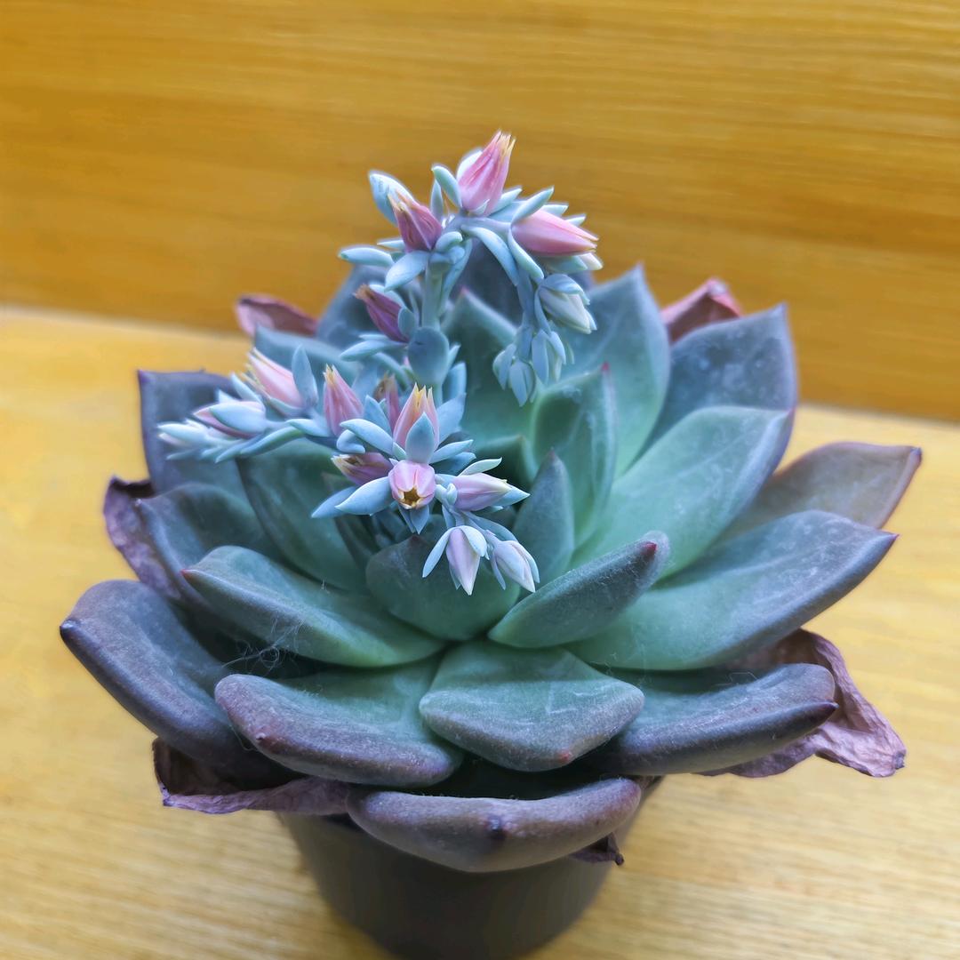 🌈未来可期
