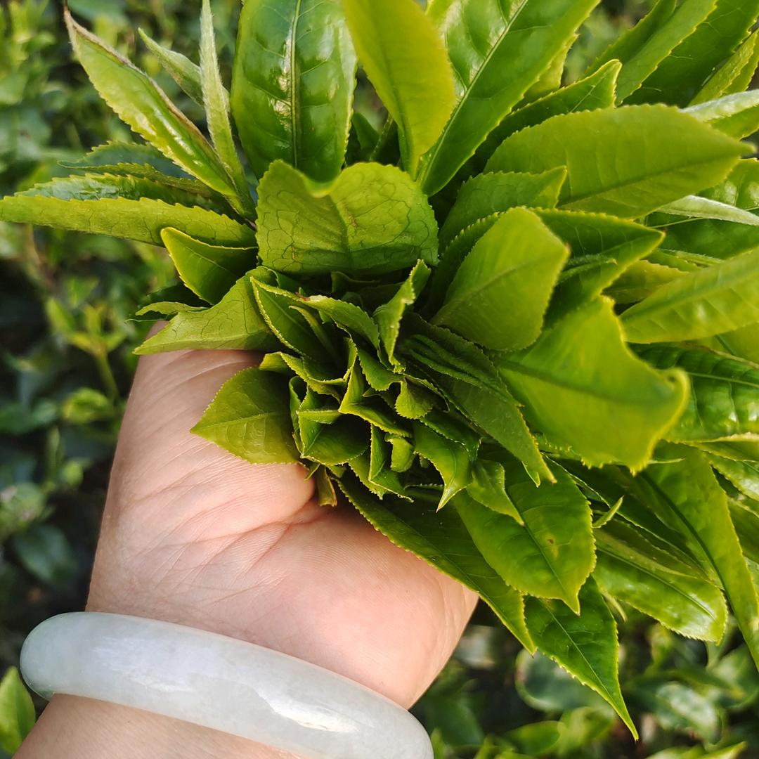 温柔的小晴空。