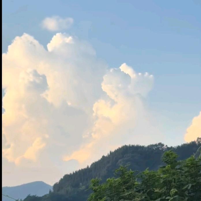 ꉂꉂ꒰•̤▿•̤*ૢ꒱