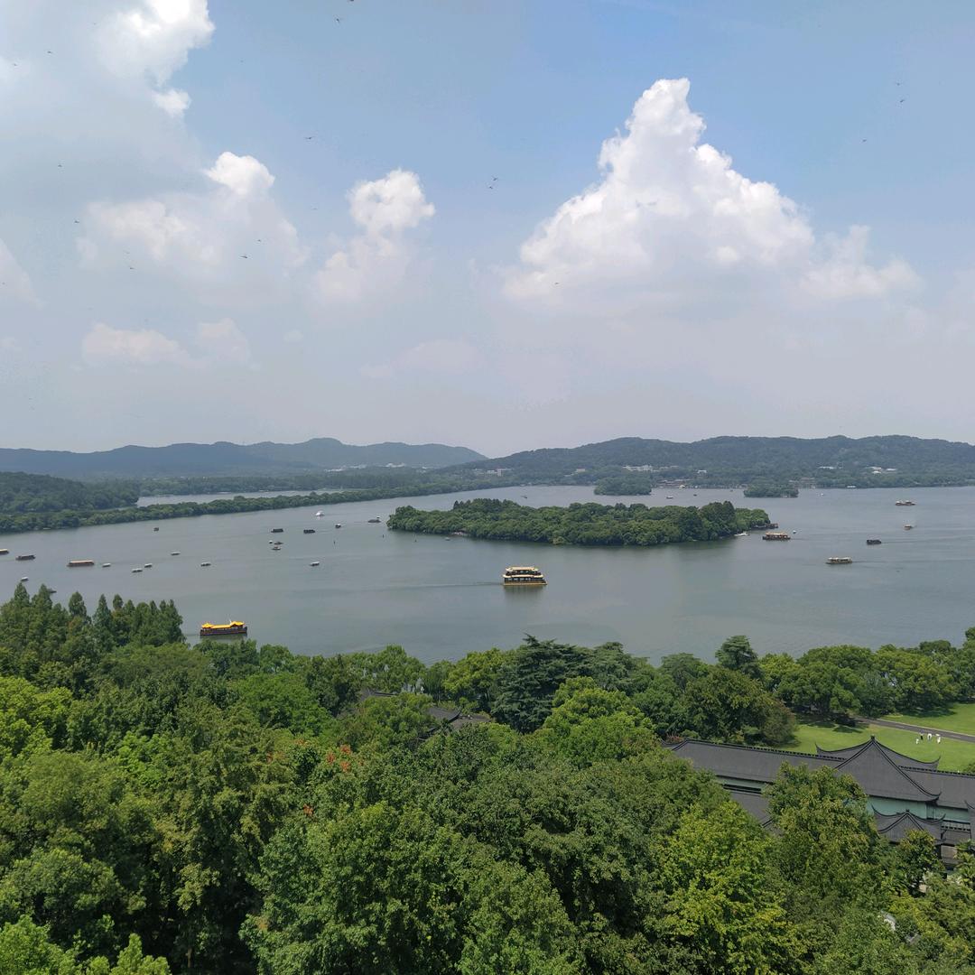 刘峰666