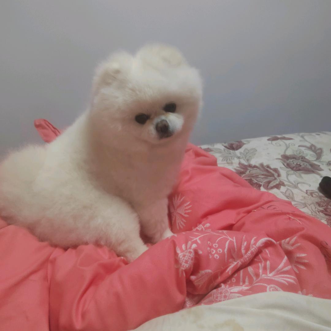 清心❤️