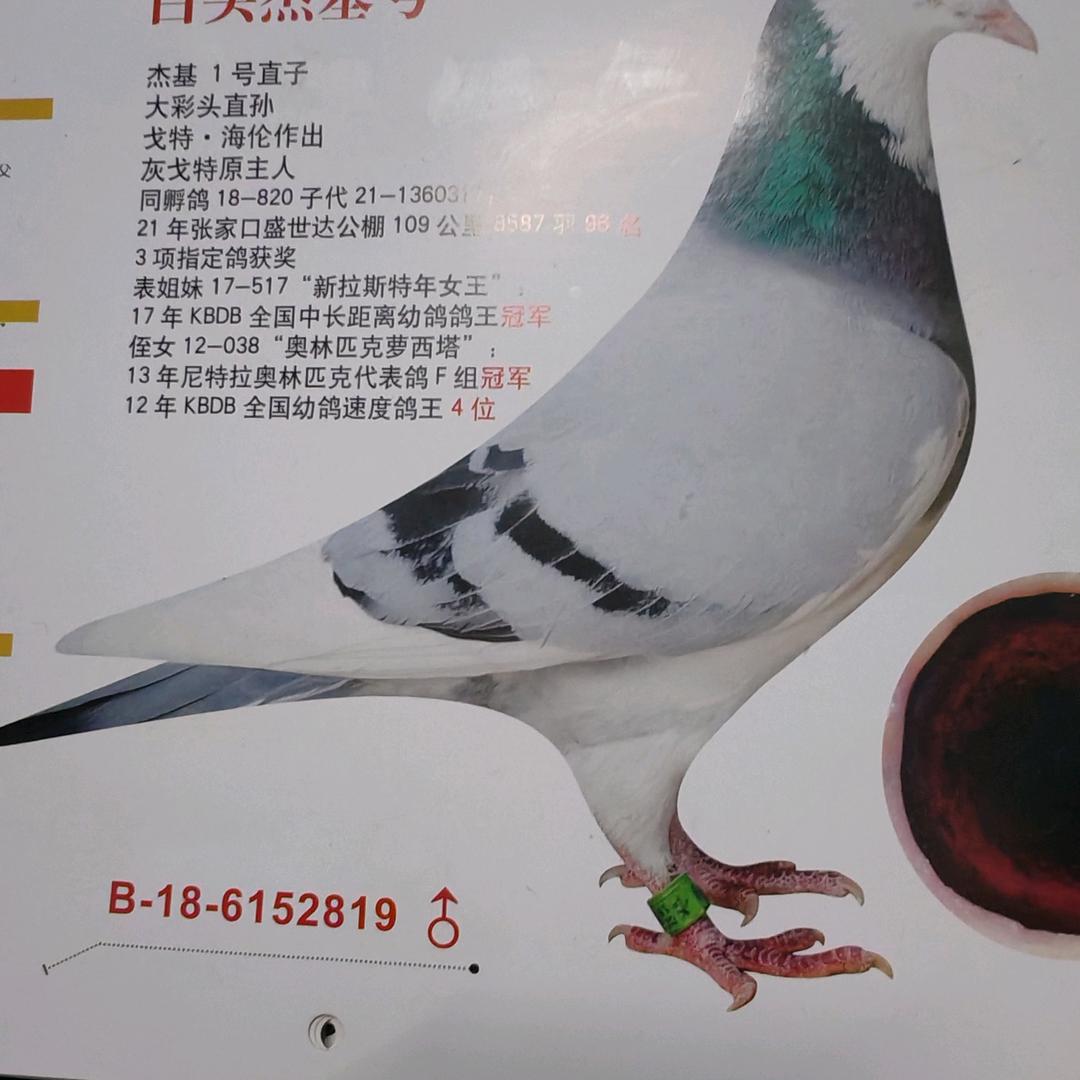 封心❤️锁爱！！
