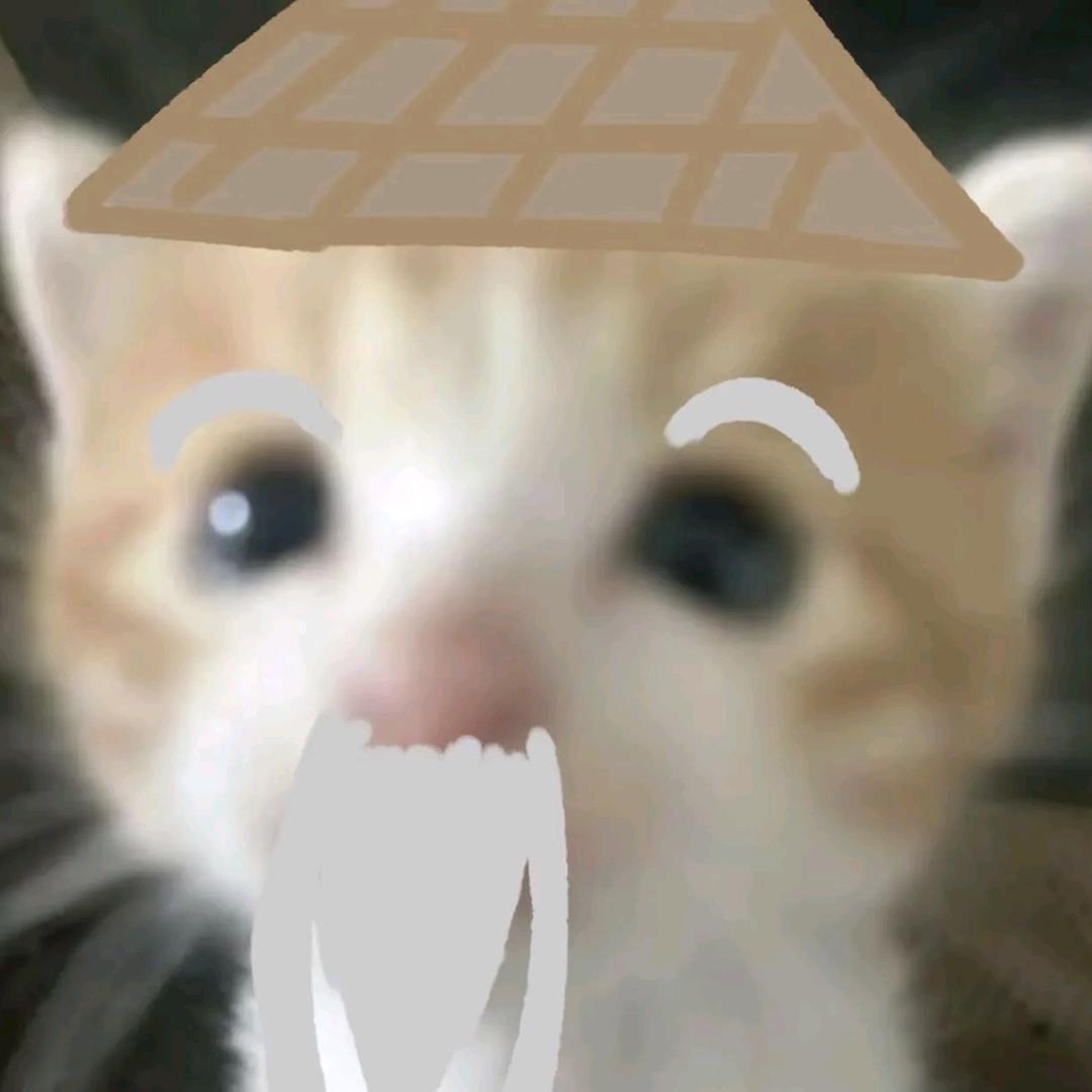 狗子
