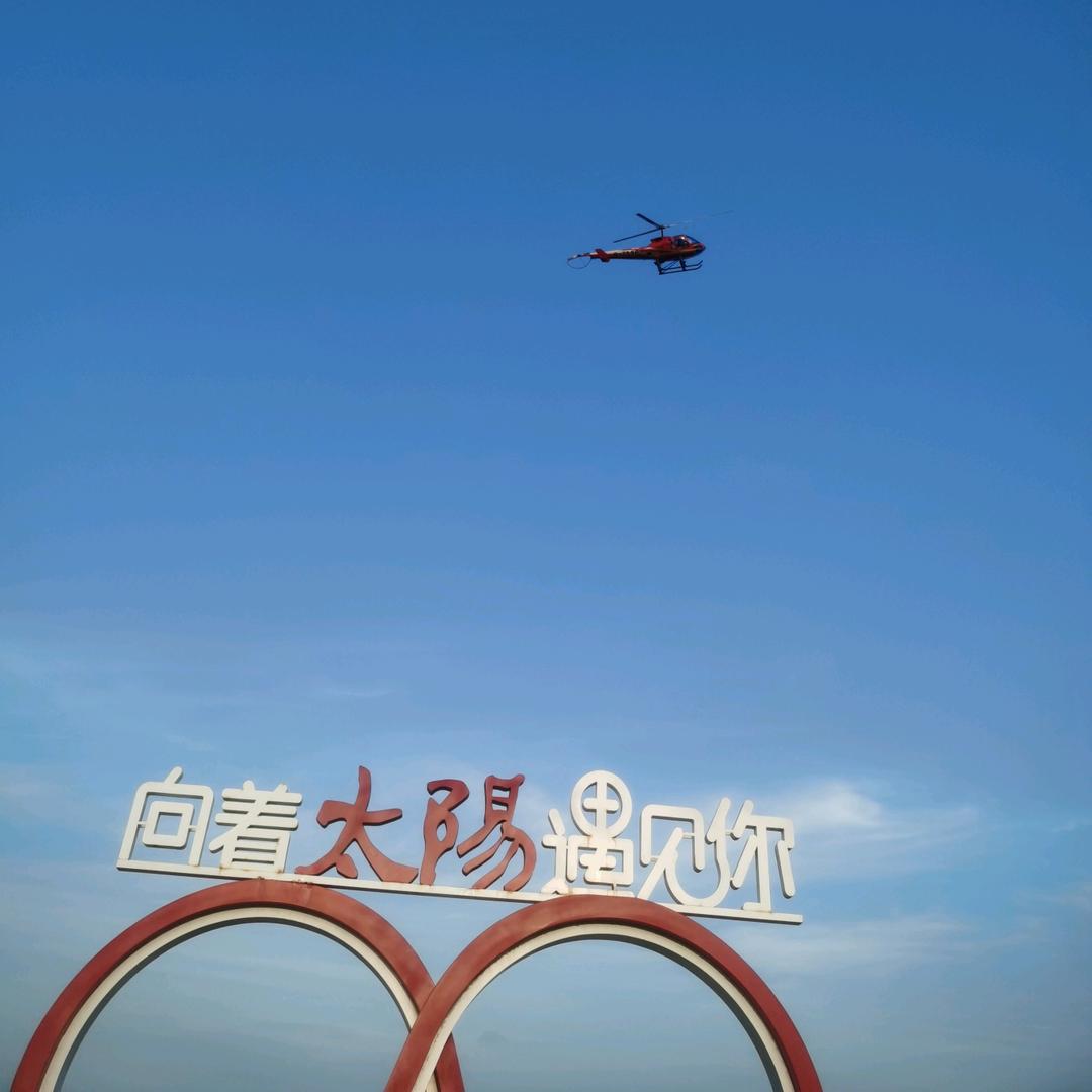 幸运鹅