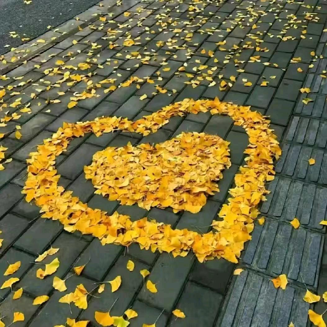 电小二💖(0322)💖