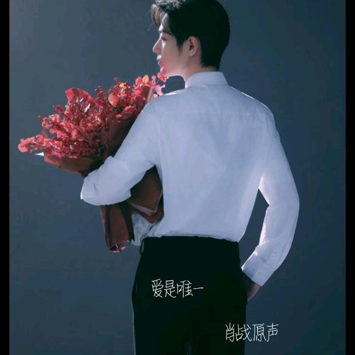 倾城肖肖