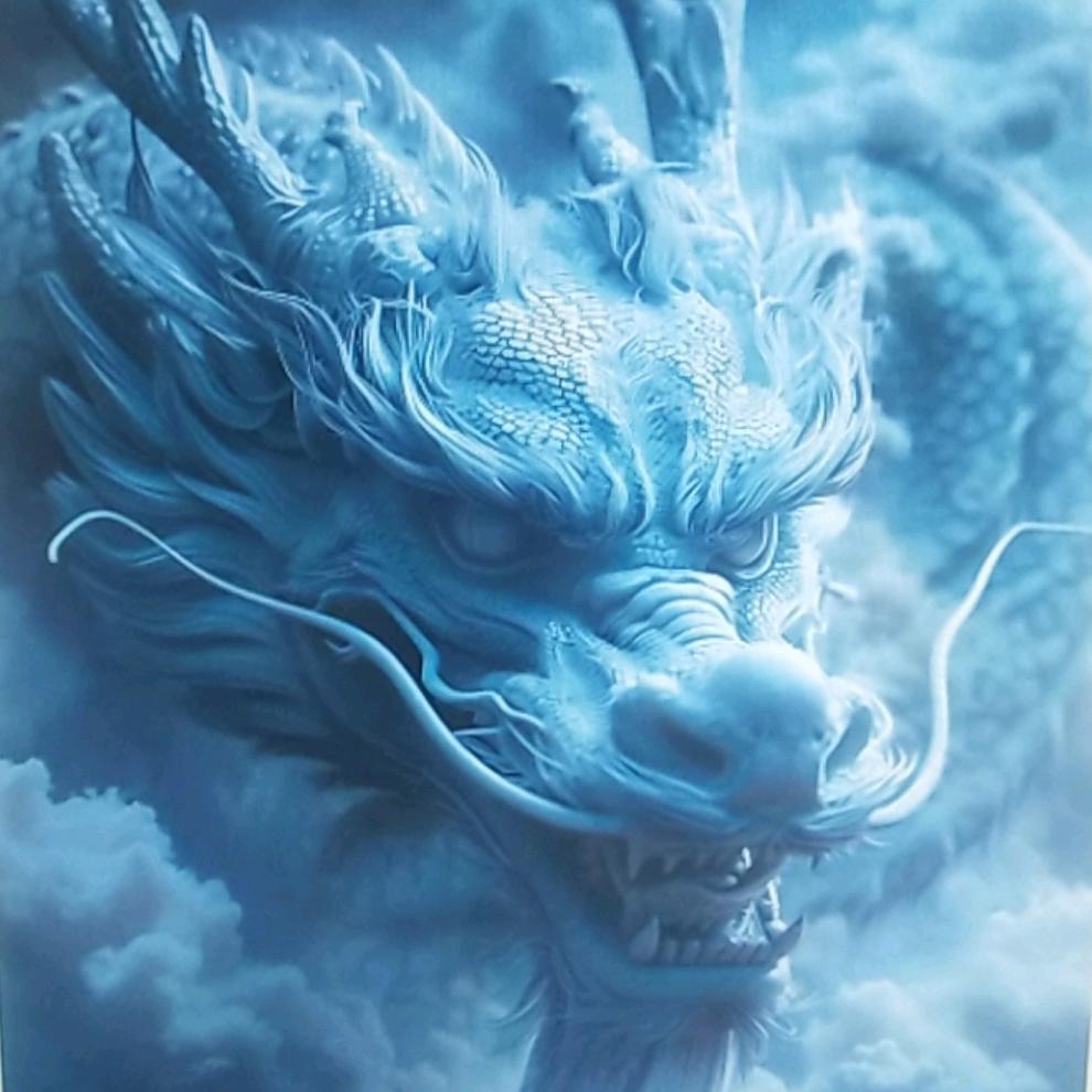 哥网