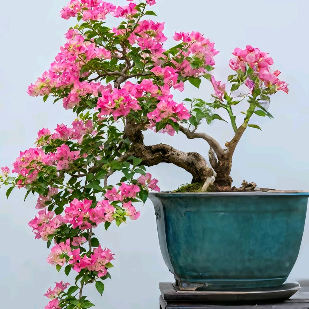 秋水&长天