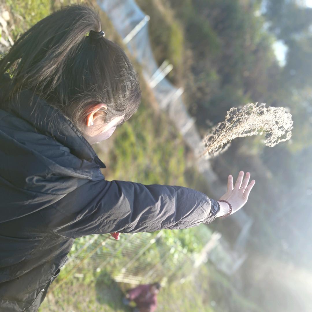 ℒℴѵℯ苏苏✿᭄ཽ