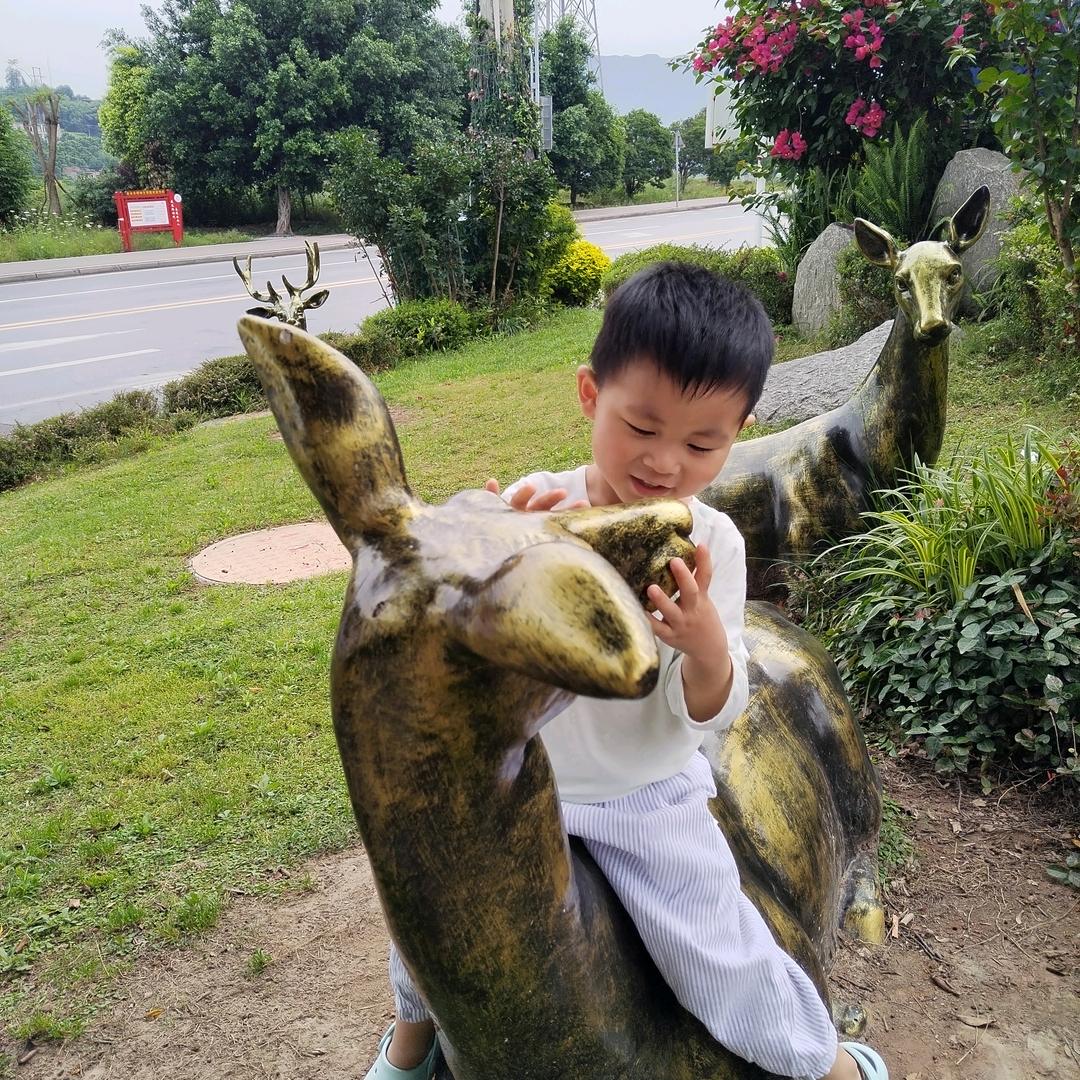 廖小莉
