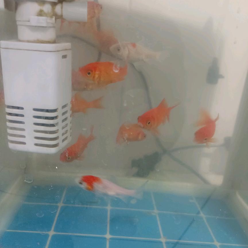 心心相印