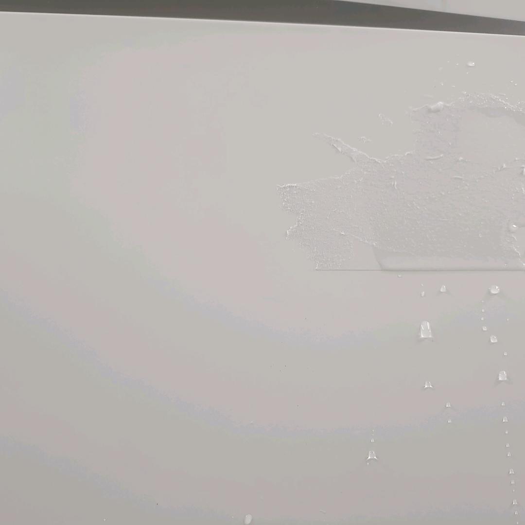 梵唯乐头像