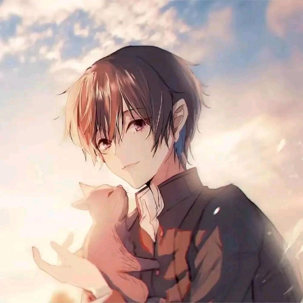 🌈🍎🍎王多鱼