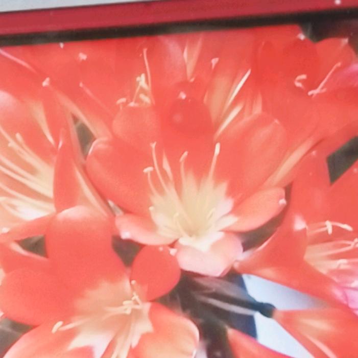 聊天首播